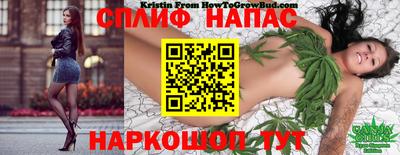 СК Балаково
