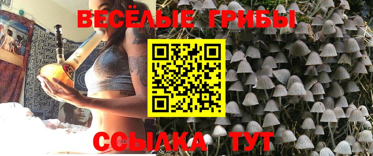 Галлюциногенные грибы MAGIC MUSHROOMS  Дивногорск 