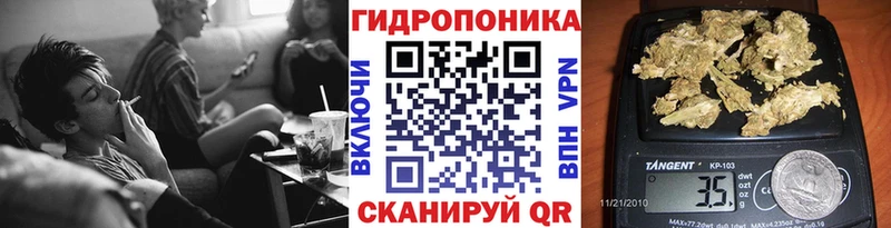 гидра ссылка Дивногорск Каннабис индика